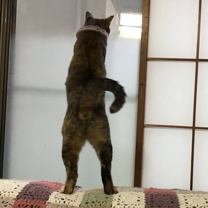 39cd17ff f1e6 43c5 83d1 fa50dade925d 1621499731426