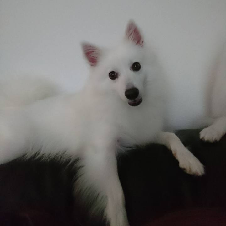 39cd205a 6c55 40c1 ae64 6a514a4c9753 1566975008578