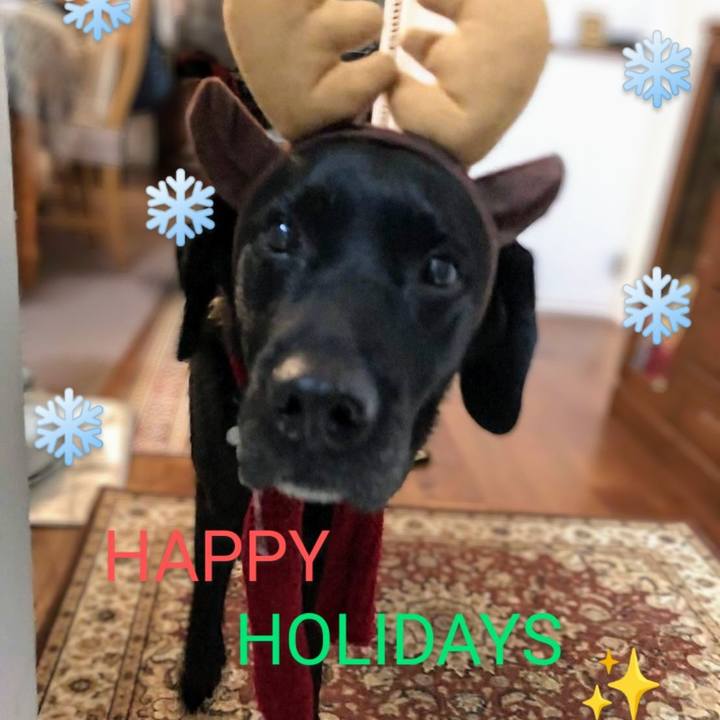 39cd3fba ee7e 4a65 a5ed 764c8cb57c36 1735005895131