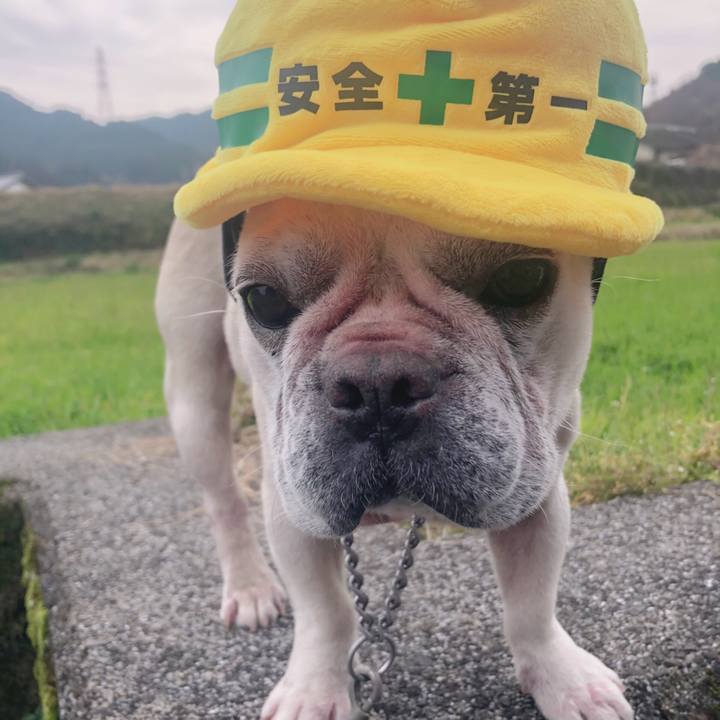 39cd611f f49c 4f58 9cd8 35f1d6019d26 1583444178505