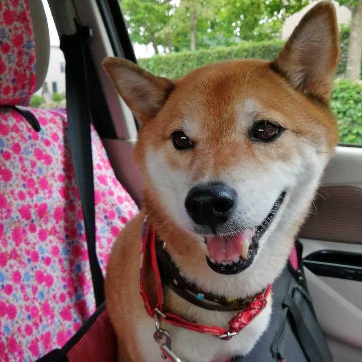 39cd7141 8863 43be abce 40831fdec873 1662547395572