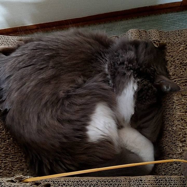 39cdc921 6f78 47f3 8579 da5e9bae385a 1659167676811