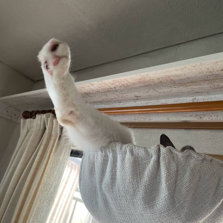 39ce19ad f315 4a1d 8fec 4ff3ef90e347 1735553855283