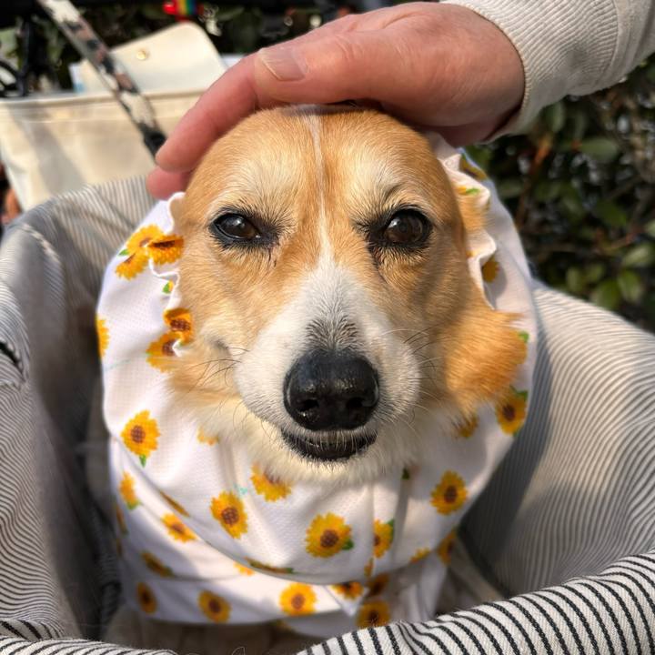 39ce40a4 ff4e 48d1 86dc d4969fa2bd22 1772156989911