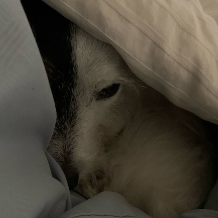 39cec05c 3103 45ba a578 54271606cc08 1730555818626