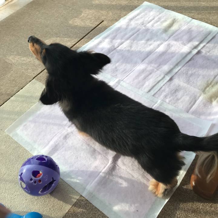 39cedc3e 1be7 420c 9092 fa5b91e9431f 1522102457835