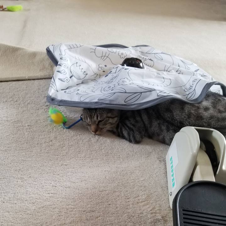 39cedcfd 4c48 40dc 970f ea6ee87478a5 1681177651853