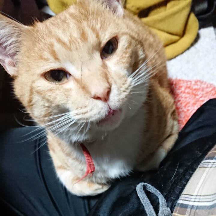 39cee2d0 63dc 45c2 baea 1db7c11df669 1573720464253