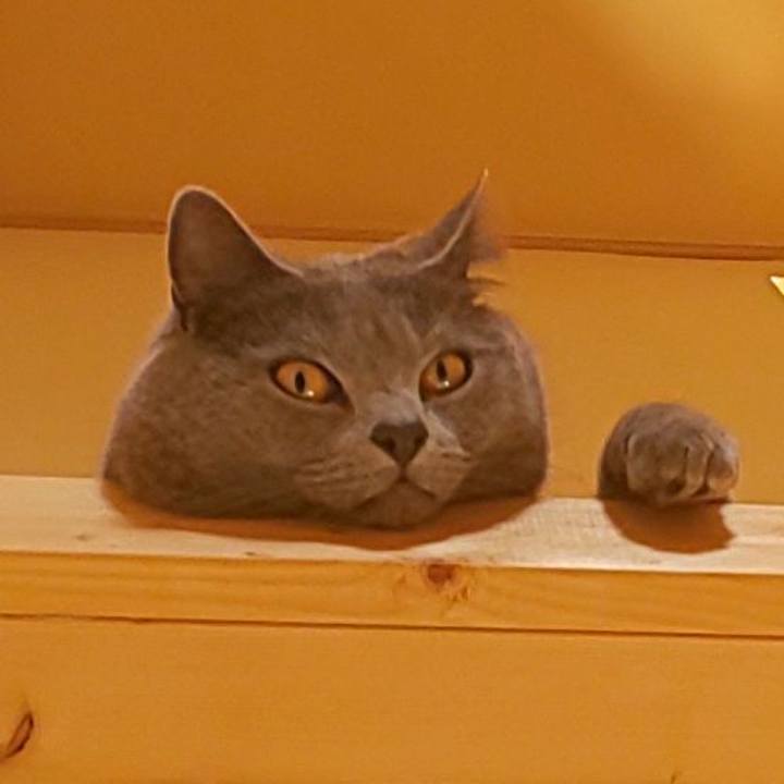 39ceeeaa 3fa7 46f6 854c d7089e794a8c 1587114416816