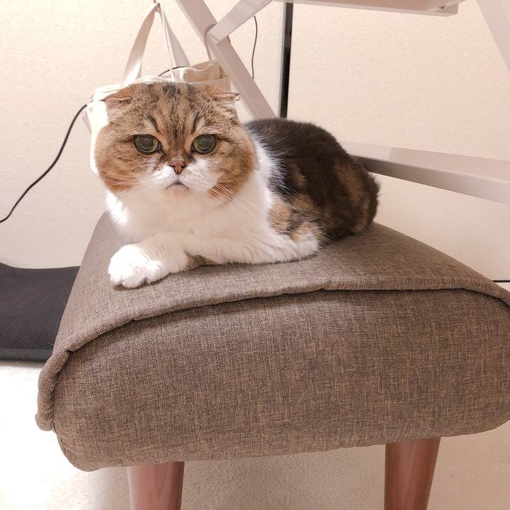 39cf255b 82df 44a2 a592 553e907427a8 1623468854328