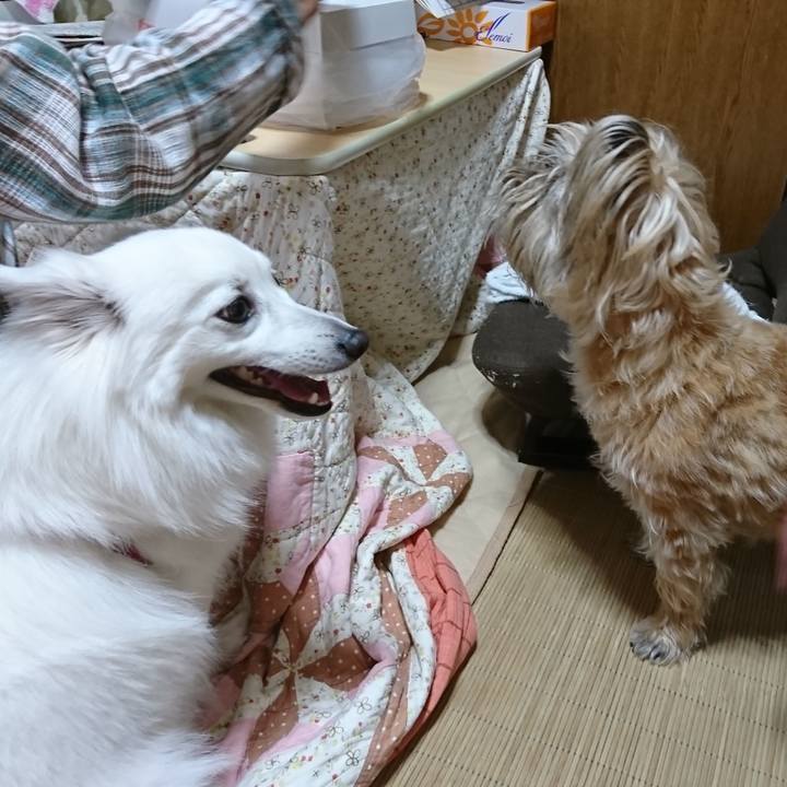 39cf4cf9 8b37 4207 95b1 c9457653a2c6 1527321376478