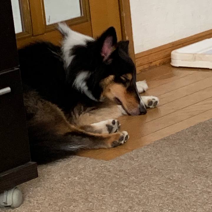 39cf844d bd57 4d94 b6d2 886a6e5aaa1e 1566164207470