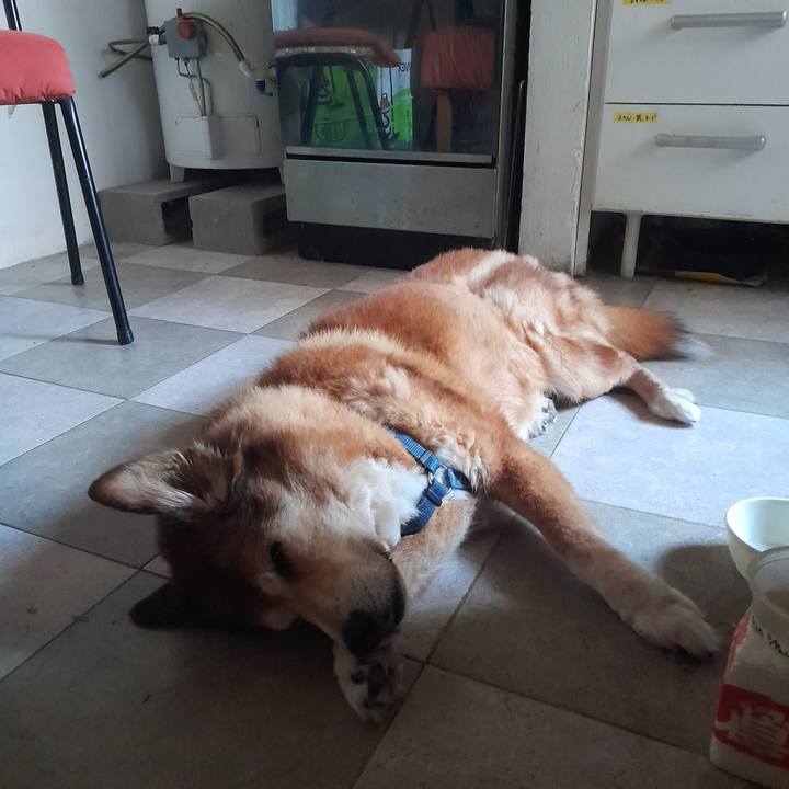 39cfa74f 53dd 46b5 b3cb 192d67a61679 1768268751623