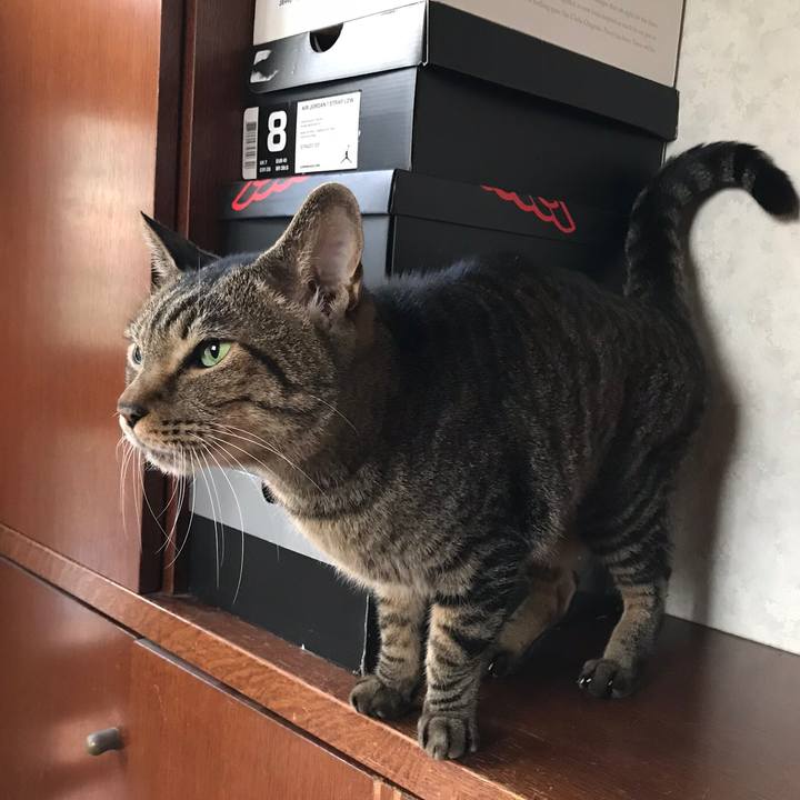 39cfc724 06ef 450f bbe6 9a600c9f48bc 1512006115865