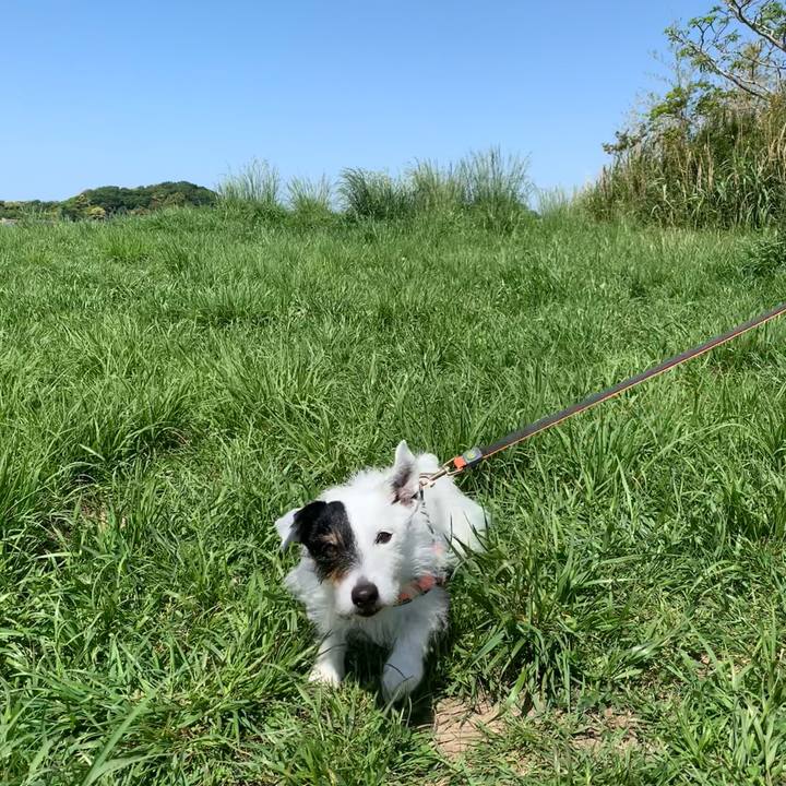 39cfdb67 d1d5 4703 86d0 228dbdbcc6fb 1714785007972