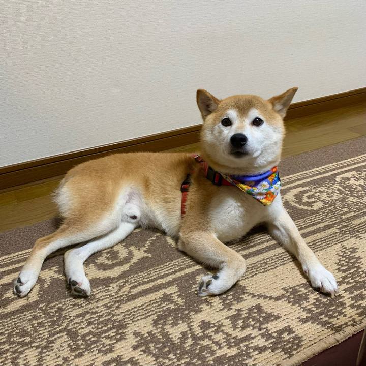 39cfe140 2e7f 4188 b96e 86e66ec17c04 1626086598394