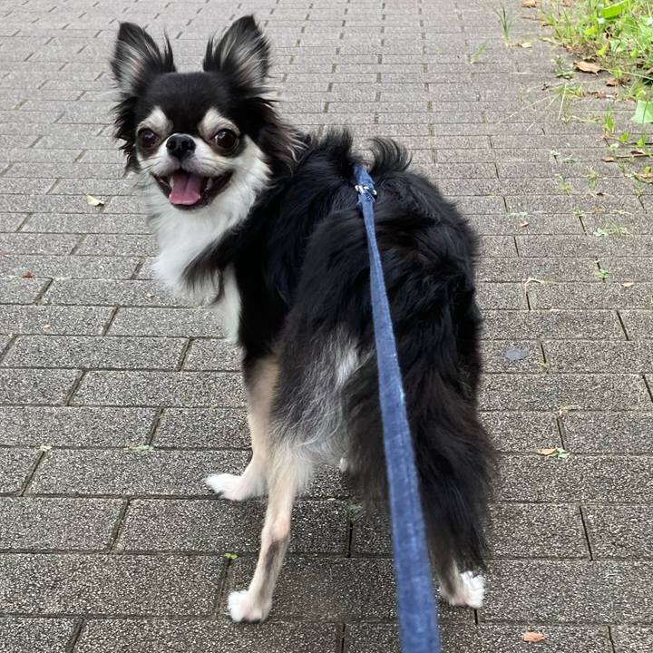 39d0068d f529 464e 956f 2957e8ad116f 1663244621021