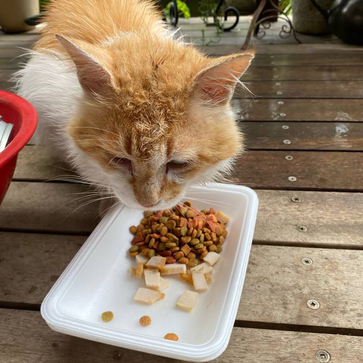 39d011be 0adf 42d8 841a 5e0c4c811b24 1657671878771