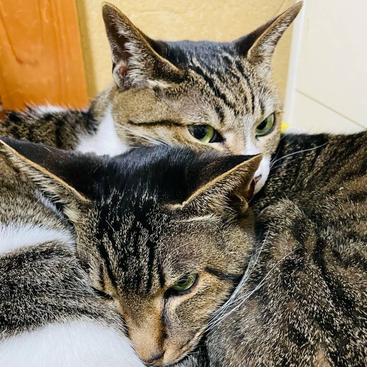 39d02413 26dc 4c73 82f0 c4bb1dc30034 1613954127609