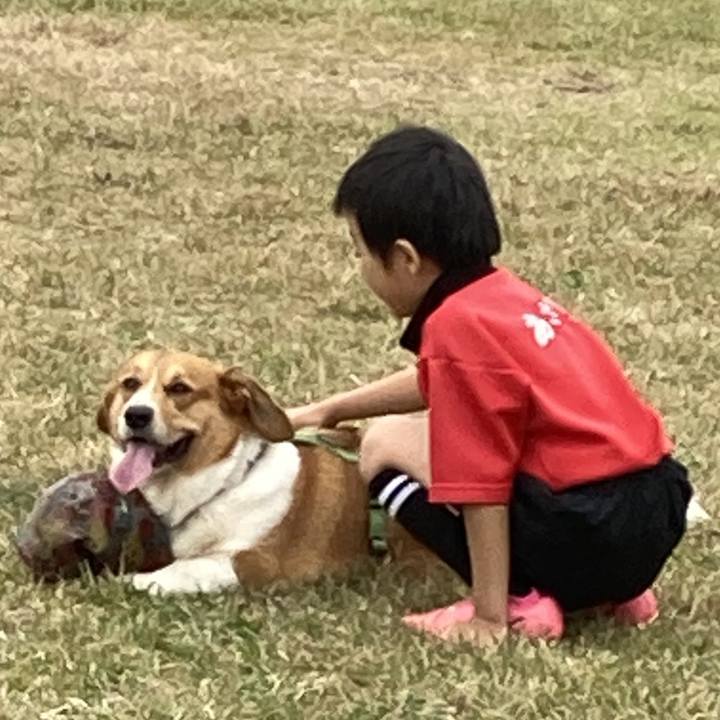 39d03a18 1de3 4bdb a54e 923df4b979fb 1731218703948