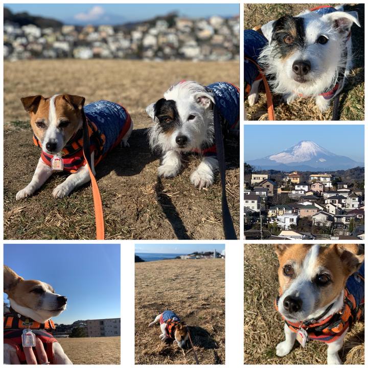 39d03bd5 6422 4975 b166 4099963d9051 1610501433531