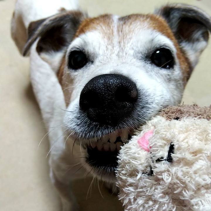 39d0423d 2b7a 4be8 8176 0a3649dfbb38 1560118107036