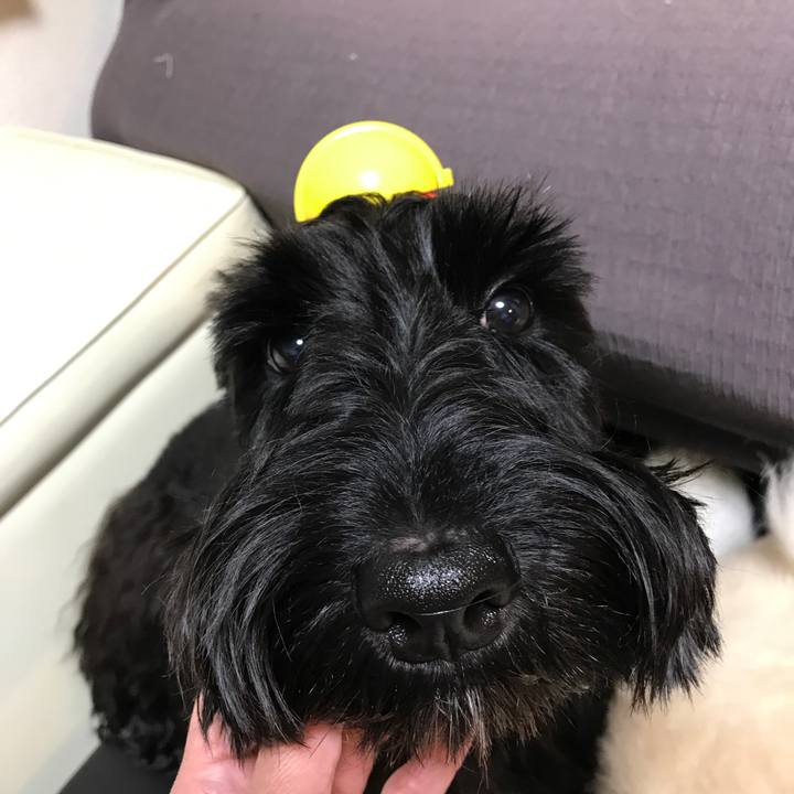 39d07888 2006 4698 8bbe 80c9ce5fe060 1525008306671