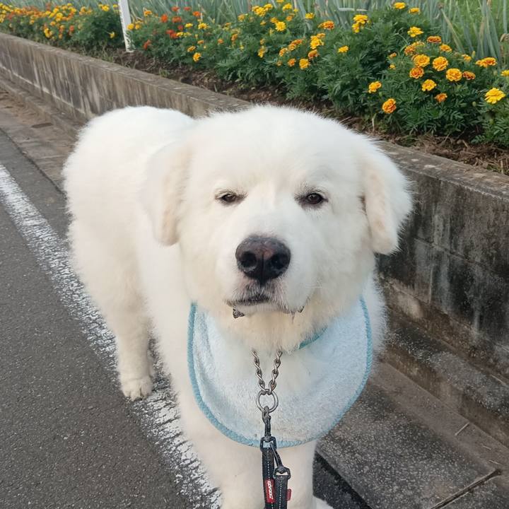 39d0bbbf 2f4a 440b 8f98 b507ac50365f 1721385910872