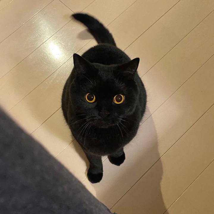 39d0c24a d1be 457e 8439 4e2642255583 1604055247066