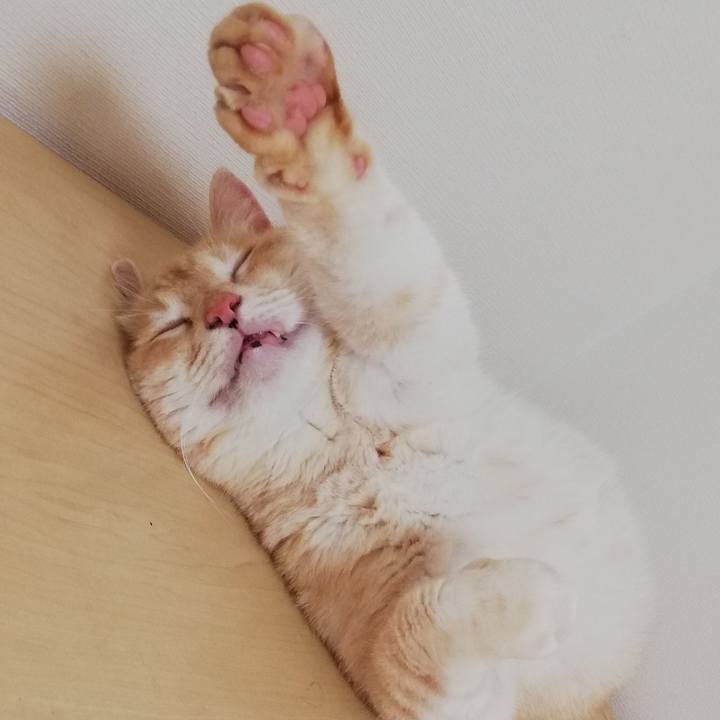 39d0f975 6d8d 47a3 b7d0 1c05fac0f5bb 1625374463985