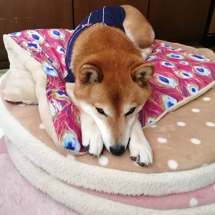 39d15b77 8bef 43c0 9c59 3ac9d13daafb 1679454462316