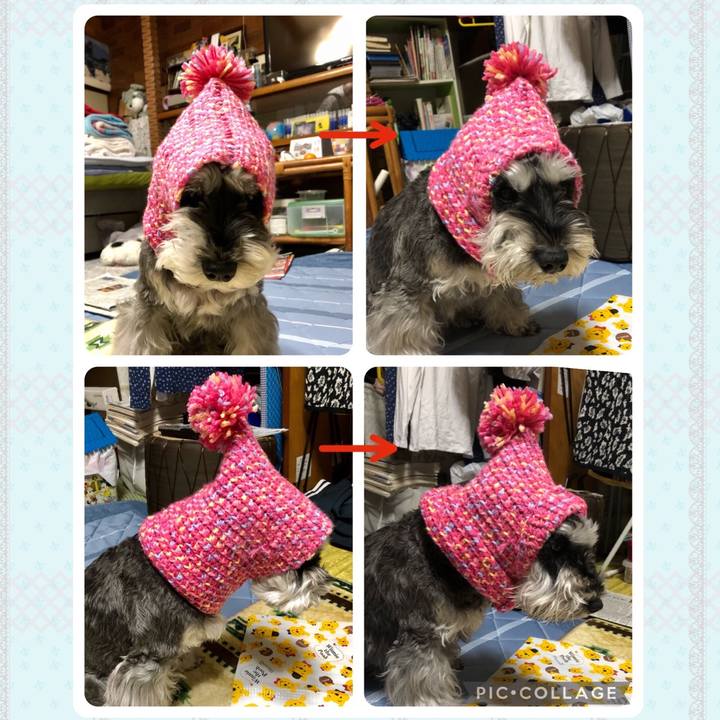 39d162a5 c614 493b 8c0b 2cf5e006e0dc 1671537084293