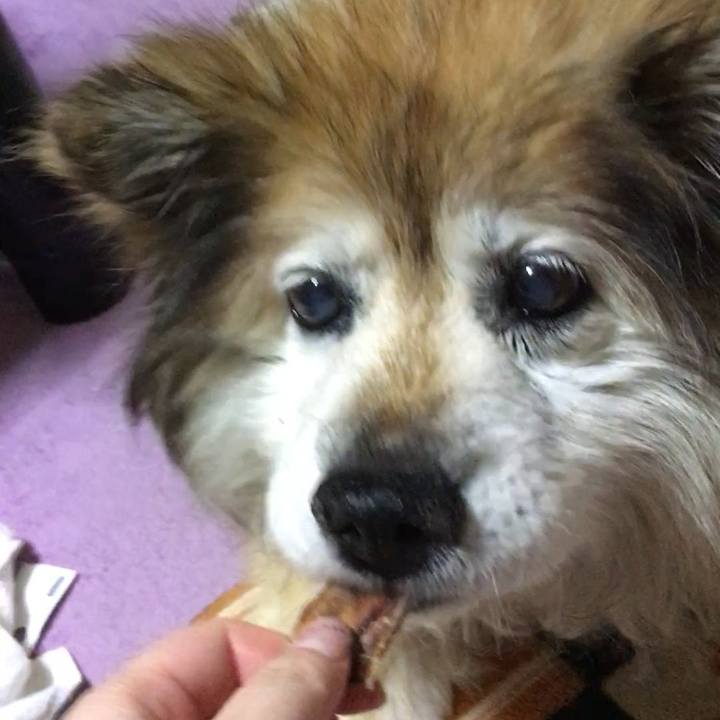 39d16551 64db 4219 84b6 9004017bf745 1593412378337