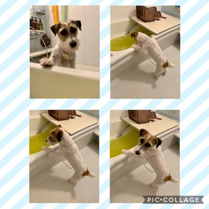 39d167e8 f69f 4481 b5a7 27c3da1a69fb 1604499192326