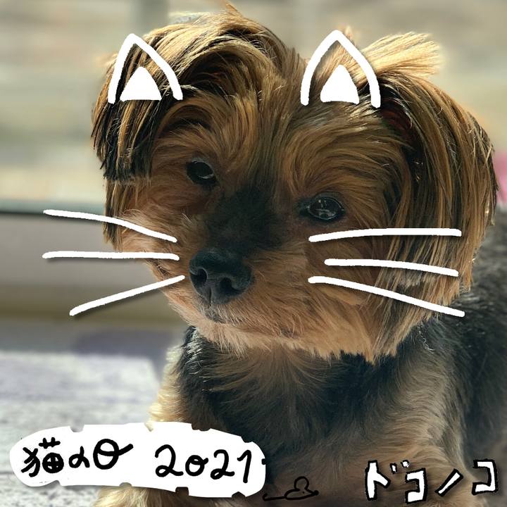 39d173ba 0546 4346 afb0 aec1720614cd 1613982433588