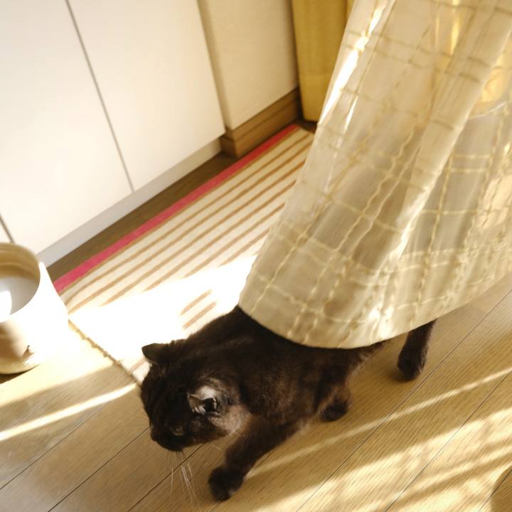 39d182a9 3b02 414e b6f4 5bb918d0be2e 1641565917588