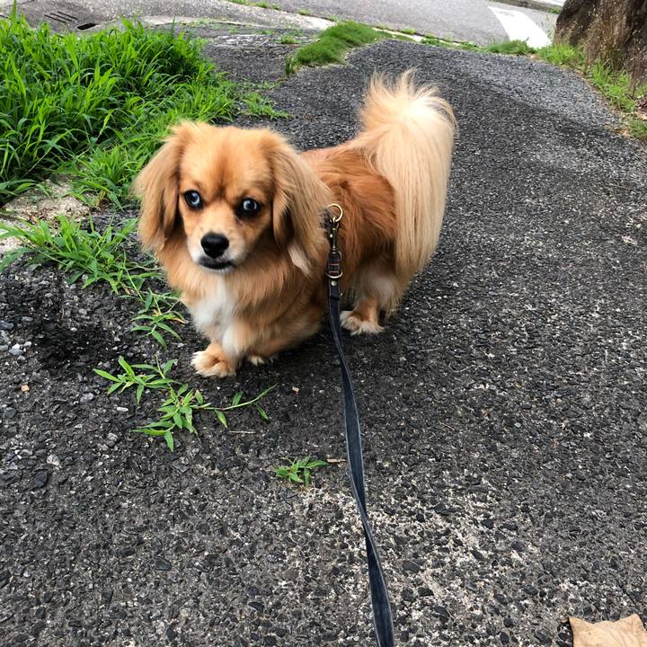 39d18a8e 0386 4d09 85a6 3a0034d5ac66 1528750662011