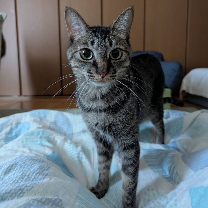 39d1915a 70a7 4dc2 b089 698bec7037bb 1762673764830