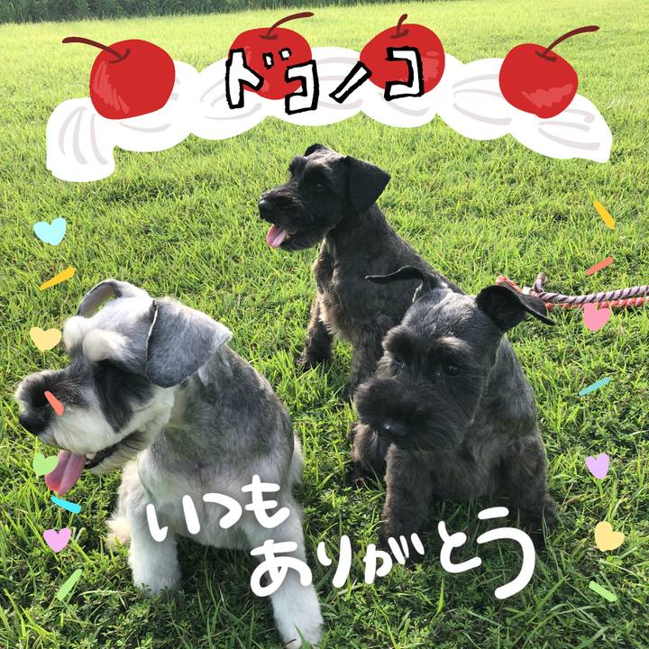 39d1c2e0 976b 48cd a1f6 171d35cf7b95 1685973689369