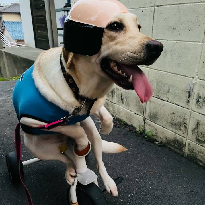 39d24e73 77f8 445c 9fc3 f35c3f2b0f7d 1655946655560