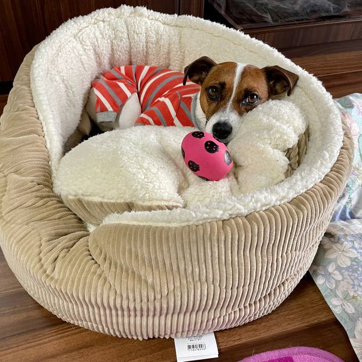 39d2543c 8716 4d15 8900 bb2f59cd5106 1647731967980