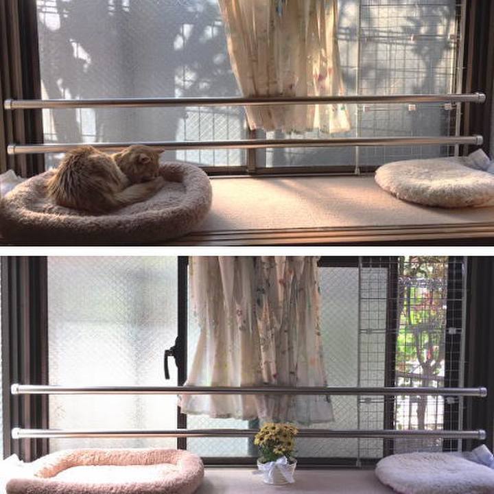 39d2b60c 15fe 4854 8f33 22269898f27c 1523597139963