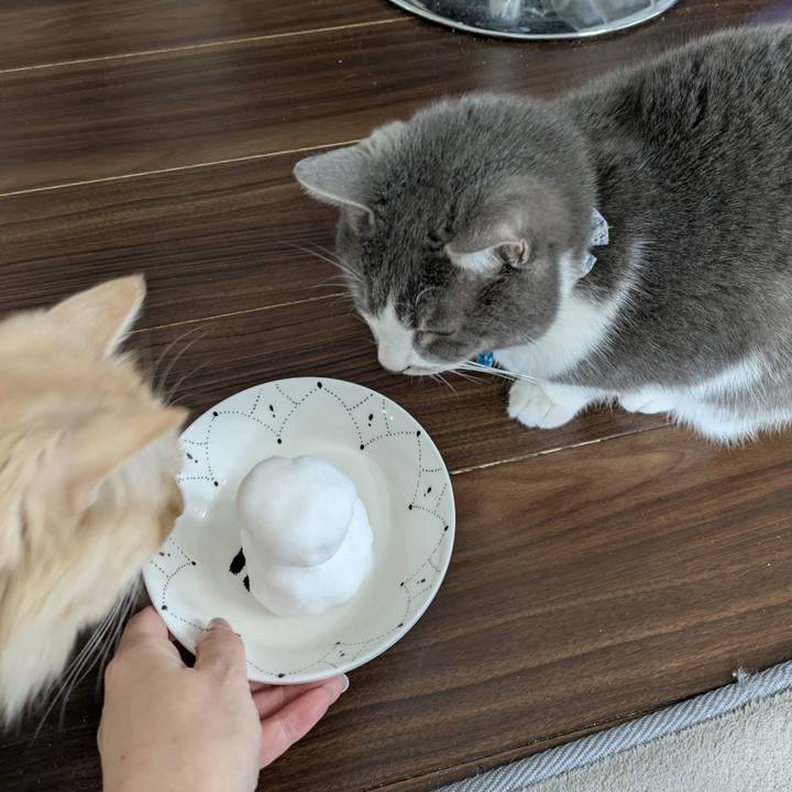 39d2b6dd af9d 4f7c bb7a 561a086de0e8 1770517105410