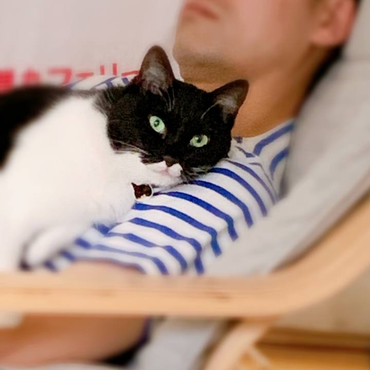 39d2c085 ed93 4c6d 824f 2a443536fbc5 1567237280429