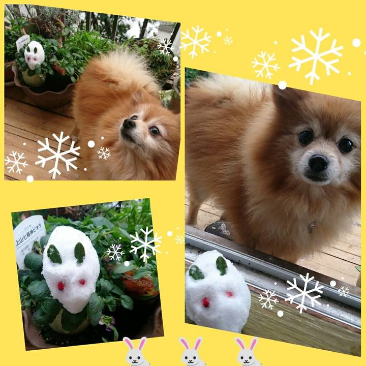 39d2d084 e05c 4f69 94cd f243b1d6e0e1 1516611055715