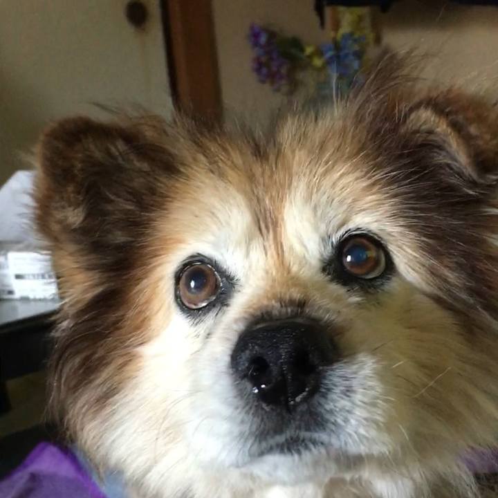 39d2d2e0 8ec9 4914 a817 173965833af2 1620086377400