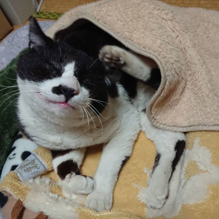 39d30838 3925 4841 983f 7103f395033e 1651147168640