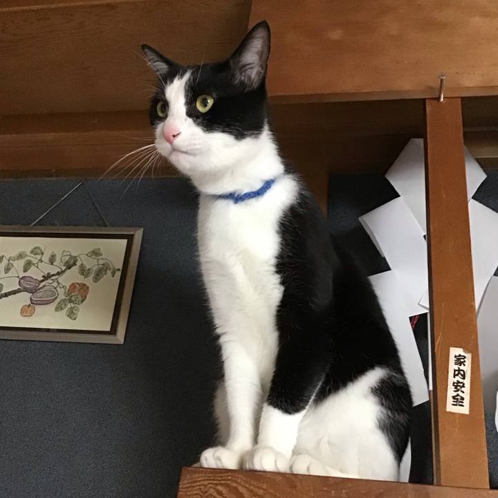 39d308fa db73 42a5 b936 157caadb5f2a 1716368947912