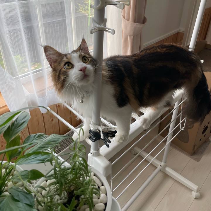 39d318e0 22c3 42cf a9ac 02b5f2267590 1654720488076