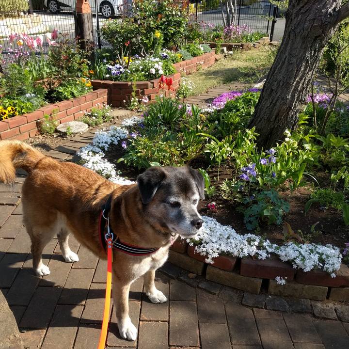 39d328e7 e141 4347 a7eb 9a01f275886e 1523319836733